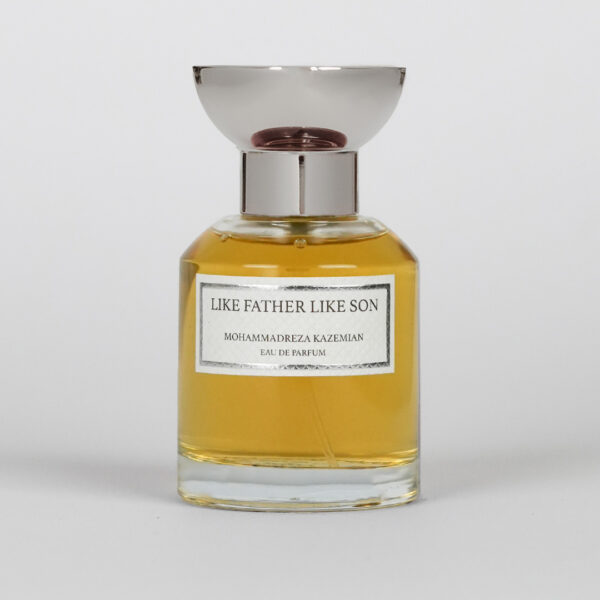 LIKE FATHER LIKE SON